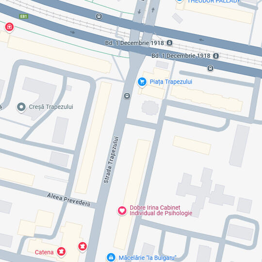link către google maps București, Sector 3, terapie copil adolescent adult